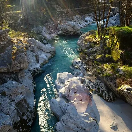 Appartement Apartma Bubi *