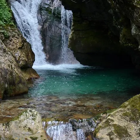 Appartement Apartma Bubi *