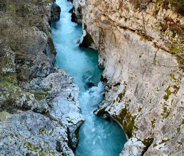 Apartma Bubi דירה *