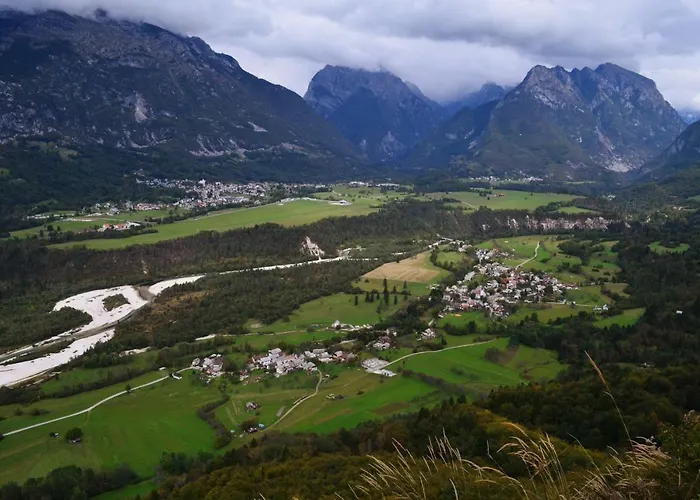 Apartma Bubi * בובק